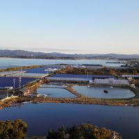部屋からの景色