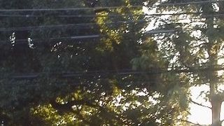 昔、この近くに池があったそうです