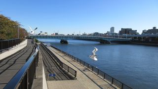 スカイツリーも間近に見ることのできる絶好の散歩コースになっていました。