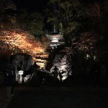 硅灰石と多宝塔+ライトアップされた紅葉。