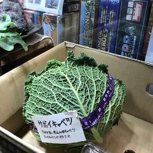 サボイキャベツ、煮ると美味しいらしいです。