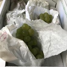 松本山辺の甘くて美味しいナイヤガラ。