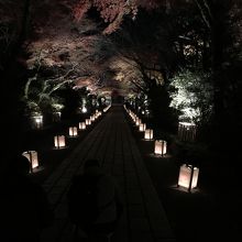 石山寺参道。ジャマやし…。