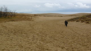 砂浜が広がっているわぁー