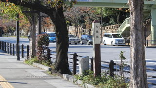日本武道館へ向かう坂道