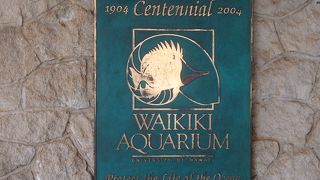 日本語の解説はありません