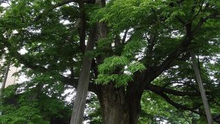 アクセスもいい