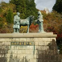 回りの紅葉、奥の郡上八幡城をバックに。