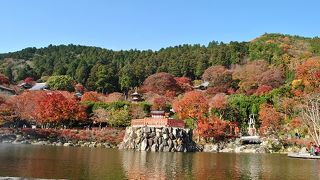 紅葉のコントラストが素晴らしい！
