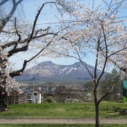 オニウシ公園より花見を楽しめる