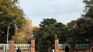 歴史を感じる赤レンガ