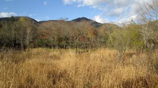 湿原からの景色に感動した箱根湿生花園