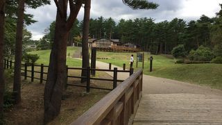 駐車場から北山崎展望台に行くときに側を通りました