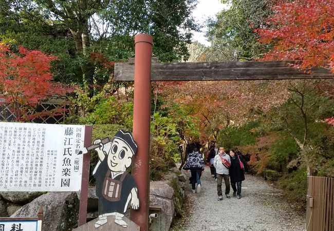 藤江氏魚楽園