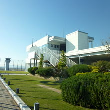 4階展望デッキには緑もある