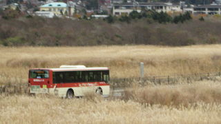 仙石高原を行く箱根登山バス