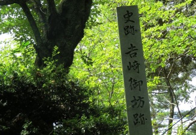 東西両本願寺の共有地