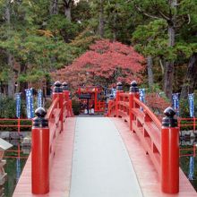 蓮池にかかる赤い橋。その先に「善女龍王」の祠が…