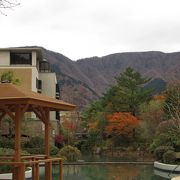 箱根甲子園のやまなみの湯でのんびりと