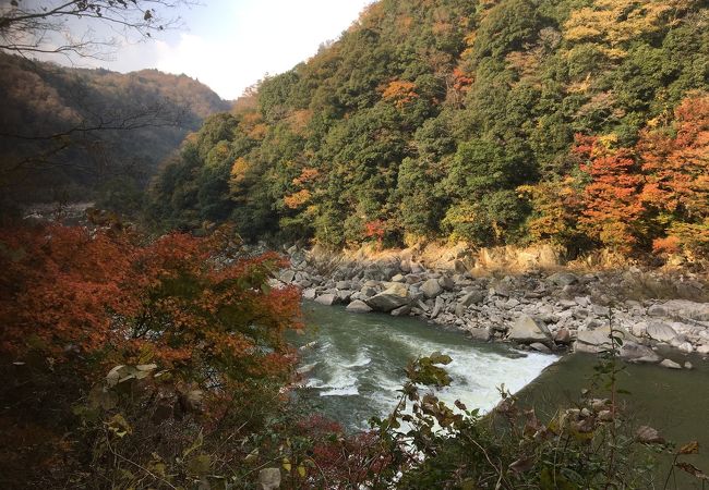 木津川のはじまり