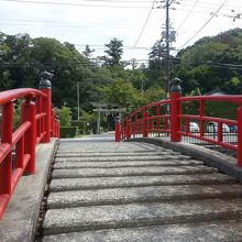 カメラ台に置いて撮るとこんな感じ。