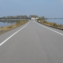 谷中湖の中にある道路