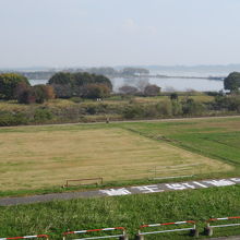 展望台から渡良瀬遊水地を眺める