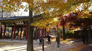 徳寿宮にあり紅葉の時期はとても素敵