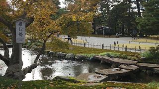 雁が飛んでいるように見える？