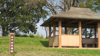 広大な渡良瀬遊水地の中心にあります