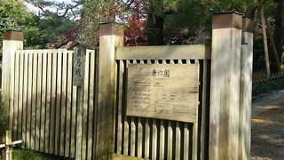 自然の恵み溢れる坂