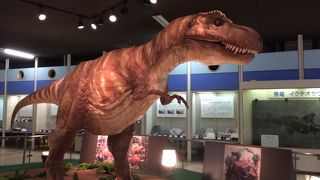 色々体験できて楽しかった☆