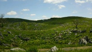 絶景の大パノラマ