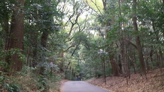 大都会なのに…！