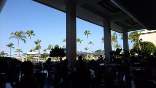 オープンエアで気持ち良いロケーションですが、ごはんを食べに鳥が来るので気をつけて。