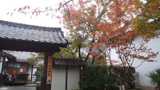 花の寺の秋