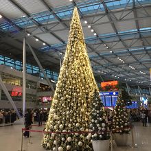 どこもかしこもクリスマスツリーだらけ