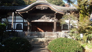 　武蔵国分寺・万葉植物園 