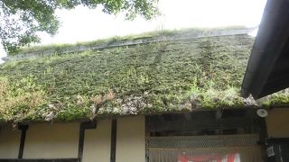 佐々木喜善祭りが開催されていた