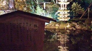 ライトアップもきれい