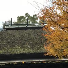 藁葺き屋根とのマッチングが情緒ある風景