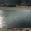 長良川の素晴らしい眺め