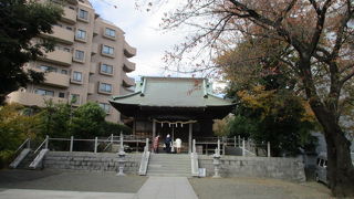 鳥居から本殿までの参道は長く境内も広く見ごたえあります。