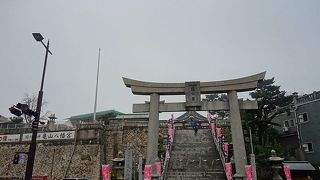 石製亀があちこちに。