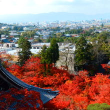 多宝塔からの眺望。