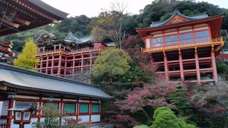 朱塗りの柱と紅葉の赤