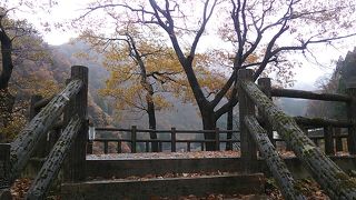 2017年11月24日現在、紅葉も楽しめました