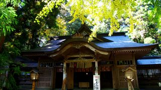 巨木が林立する静かな空間