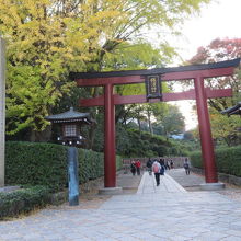 神社入口・正門