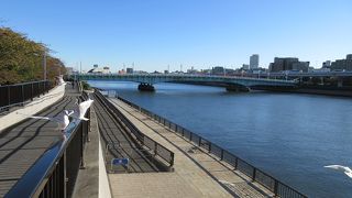 スカイツリーが、先の大戦においてこの地で亡くなられた御霊への慰霊碑だと思えてきました。